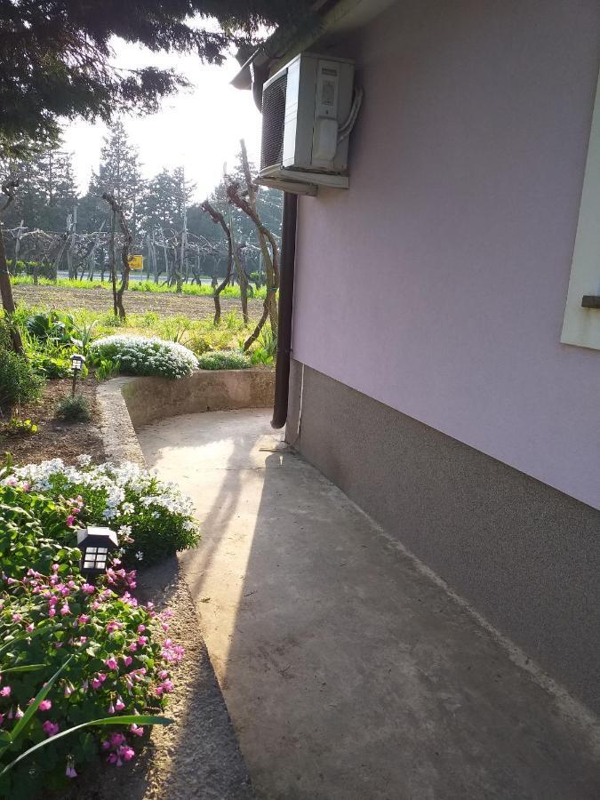Apartament Istra Koper Zewnętrze zdjęcie