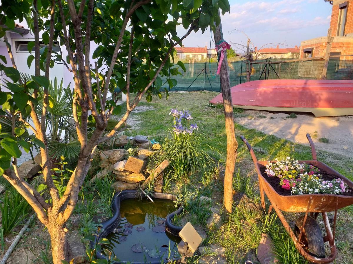 Apartament Istra Koper Zewnętrze zdjęcie
