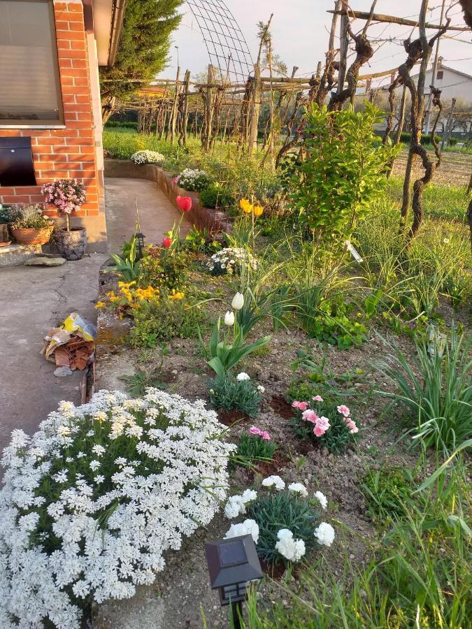 Apartament Istra Koper Zewnętrze zdjęcie