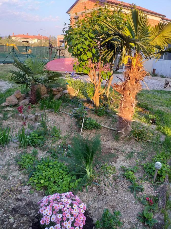 Apartament Istra Koper Zewnętrze zdjęcie